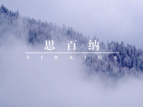 電(diàn)視(shì)購物短(duǎn)片 思百納女款羊毛一體(tǐ)雪景秀